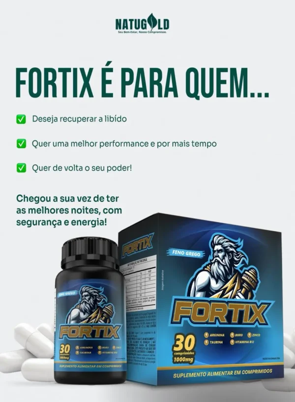Fortix - Imagem 4
